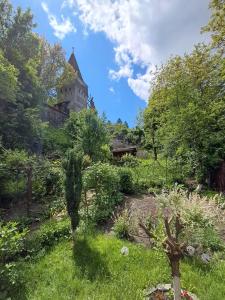 a garden with a castle in the background at Casa Adimi in Sighişoara