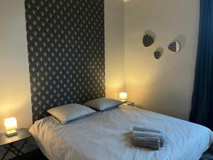 ein Schlafzimmer mit einem großen Bett mit zwei Kissen in der Unterkunft Bord de l'eau, grand appartement in Saint-Pryvé-Saint-Mesmin