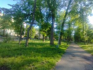 a path in a park with trees and grass at Balti house in Bălţi