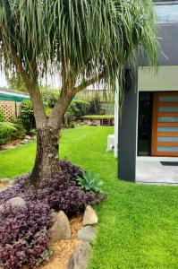 Galeriebild der Unterkunft Maroochydore Delight in Maroochydore