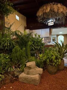 a garden with a bunch of plants in a building at North House in Ấp Bình Trung