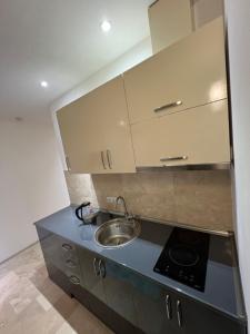 une cuisine avec un évier et un plan de travail dans l'établissement ORBI Residence LUXURY, à Batoumi