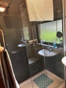 Ένα μπάνιο στο Secluded Lodge Escape in Bradworthy North Devon
