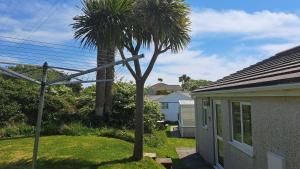 a palm tree in a yard next to a house at F72 Chyreden, Riviere Towans in Hayle