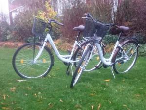 Jízda na kole v ubytování de Piepaant nebo okolí + 2 fotografie