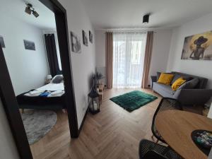 Χώρος καθιστικού στο Ami Luxury Residence VI CENTRUM - możliwość REJSU ŁODZIĄ +12 φωτογραφίες