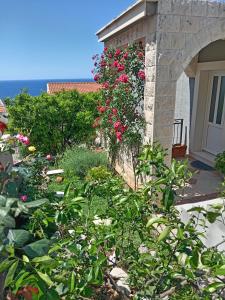 a garden in front of a house with pink flowers at Summer Breeze Cavtat in Cavtat