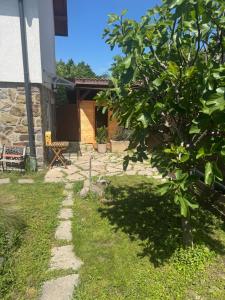 a tree in the yard of a house at Pelini - 3 in Szentendre