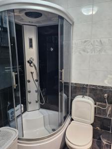 a bathroom with a toilet and a shower at Apartman Mano in Topla +36 photos