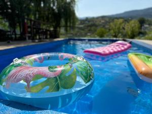 a swimming pool with a bird on a bowl in the water at Sobe i Apartmani Svjetlana-Mladen Okuka in Višegrad
