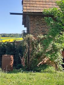 Zahrada ubytování Apartment am Vierkanthof im Thermenland