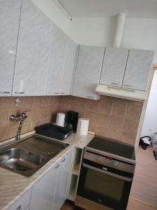 a kitchen with a sink and a stove top oven at APARTMAJI Lea in Semedela