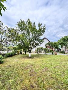 a tree in the middle of a yard at House Bumba in Baia Mare +14 photos