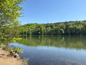 a view of a lake with trees in the background at Wunderschöne Wohnung in Erftstadt-Liblar 15 Minuten bis zum Phantasialand! in Erftstadt