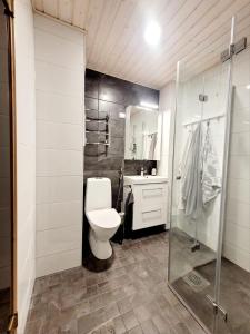 a bathroom with a toilet and a shower and a sink at Cozy townhouse apartment in Kerava