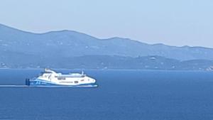 a boat sitting in the middle of the water at Ajaccio CATHEDRALE in Ajaccio
