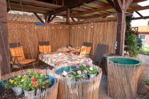 a patio with a table and some flowers in pots at Ferienwohnung am Sonnenstein in Brehme
