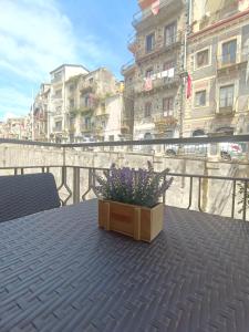 Φωτογραφία από το άλμπουμ του Via San Vincenzo, 21 σε Castiglione di Sicilia