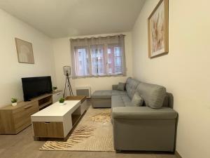 a living room with a couch and a tv at Nice tourist apartment in Digoin