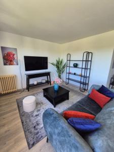 a living room with a couch and a television at Le Bellevue in La Roche-sur-Yon