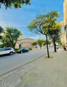 a tree on the side of a street with cars at Casa Vacanze Raimonda in Nardò +6 photos