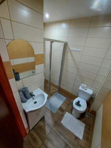 Łazienka w obiekcie Baltichouse Podczele- domki wakacyjne blisko morza !!! sauna, jacuzzi,grill plac zabaw