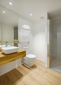 a bathroom with a toilet and a sink and a shower at Casa Estrimal, Panticosa, grandes familias y pequeños grupos in Panticosa +14 photos