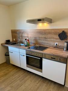 a kitchen with a sink and a stove at Ferienwohnung Burkart in Ebersburg