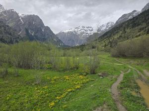 a dirt road in a field with mountains in the background at Boutique Hotel Mazeri in Mazeri