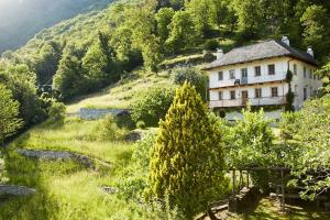 a house on the side of a hill with a tree at Wild Valley Secret Villa in Valle Onsernone in Loco