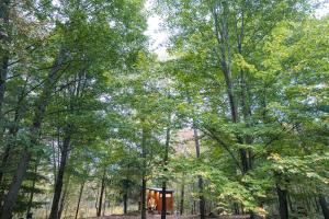 Ảnh trong thư viện ảnh của The Bracken Cabin at Fernwood Hills ở Strathroy