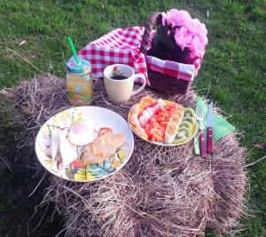 a picnic with plates of food and a basket of flowers at Eco-cabaña piemonte in Guasca