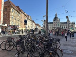 Rattasõit majutusasutuse Ferienwohnung am Labyrinth aladel või selle läheduses