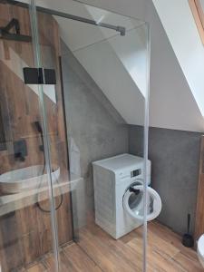 a bathroom with a toilet and a sink at Domek letniskowy Leśne Zacisze- jacuzzi, balia ogrodowa, grill i altana in Słopnice +9 photos