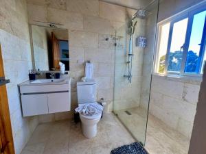 Un baño con inodoro, lavabo y ducha. en Sosua Residence by CJDR, en Sosúa