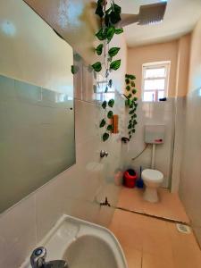 a bathroom with a sink and a toilet and a mirror at Reigns cozy corner in Eldoret +29 photos