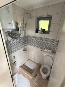 a small bathroom with a toilet and a shower at Weekend getaway house in Goražde +16 photos