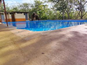 Kolam renang di atau dekat dengan Hotel El Cocobolo Food&Rest Room 4 B&B WiFi AC Pkg Free Swimmingpool
