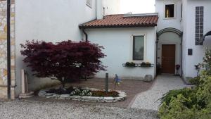 un edificio blanco con un árbol en un patio en Appartamento Acero Rosso, en Vicenza