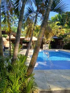 a swimming pool with palm trees around it at Cabañas Costa Santino in Ituzaingó