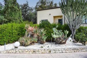 a garden with cacti and other plants in front of a house at La Villa Incantata in Poggio Dei Pini