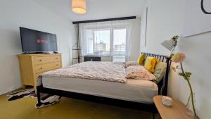 プラハにあるStylish Prague 6 Apartment with balconyのベッドとテレビと窓のある寝室 +12枚の写真