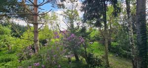 Gallery image of Eko-pad in Wieliczka