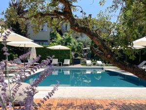 拉莫拉科尔特贡迪亚精品酒店的一个带遮阳伞和椅子的游泳池以及一棵树