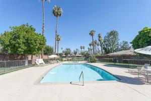 a swimming pool with chairs and an umbrella and palm trees at Private Country Club Condo on awesome golf course! in Palm Desert
