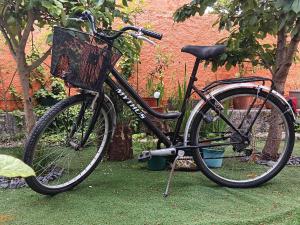 a bike with a basket parked in the grass at O Cantinho de Góis in Góis