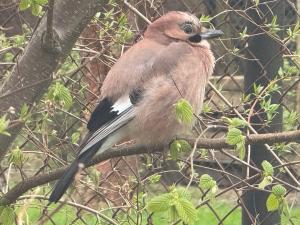 Gallery image of Eko-pad in Wieliczka