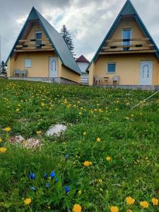 une maison avec un champ de fleurs devant elle dans l'établissement D&N place, à Žabljak
