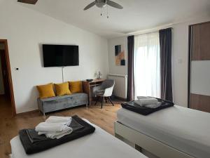 Μια τηλεόραση ή/και κέντρο ψυχαγωγίας στο Holiday house Gabi Istria