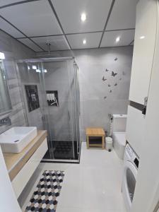 a bathroom with a shower and a sink at Estudio III VISTAS MAR, TREN Y MALAGA in Torremolinos +18 photos